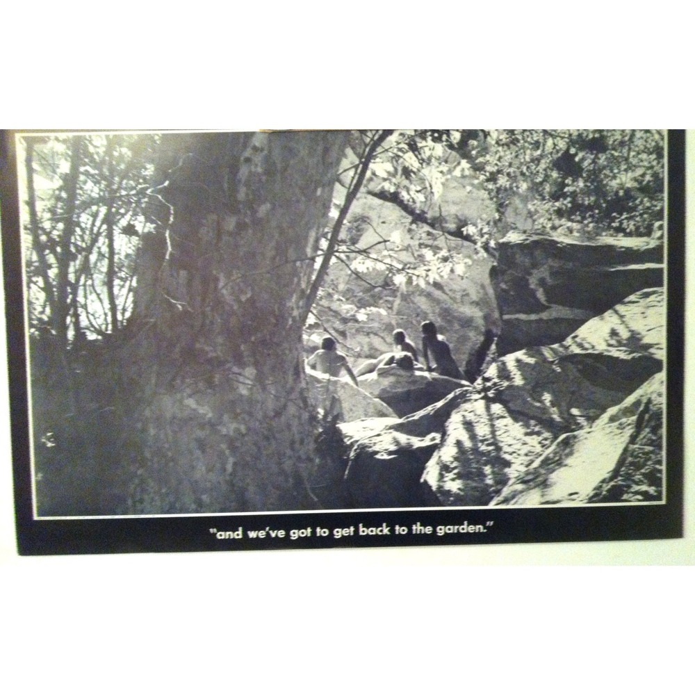 1970 Woodstock And Weve got to get back to the Garden Vintage Poster